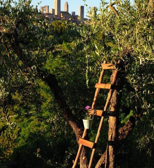 اتاق لوکس خانوادگی, B&b La Cornice