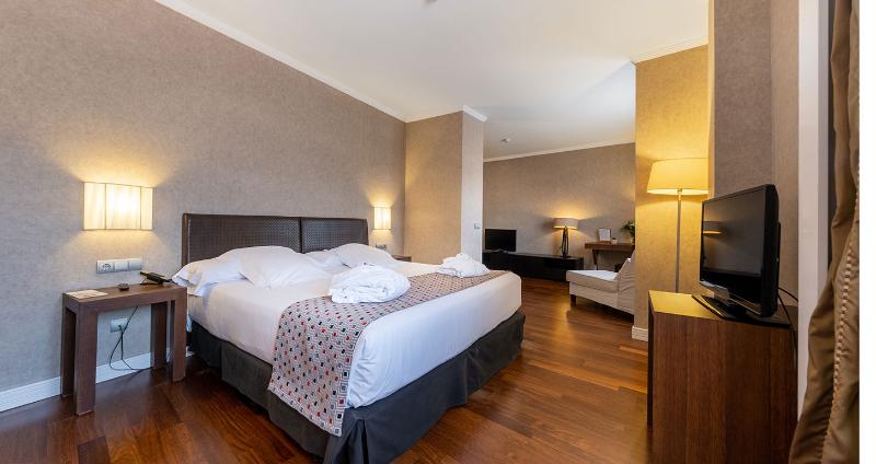 סוויטת ג'וניור, Castilla Termal Olmedo