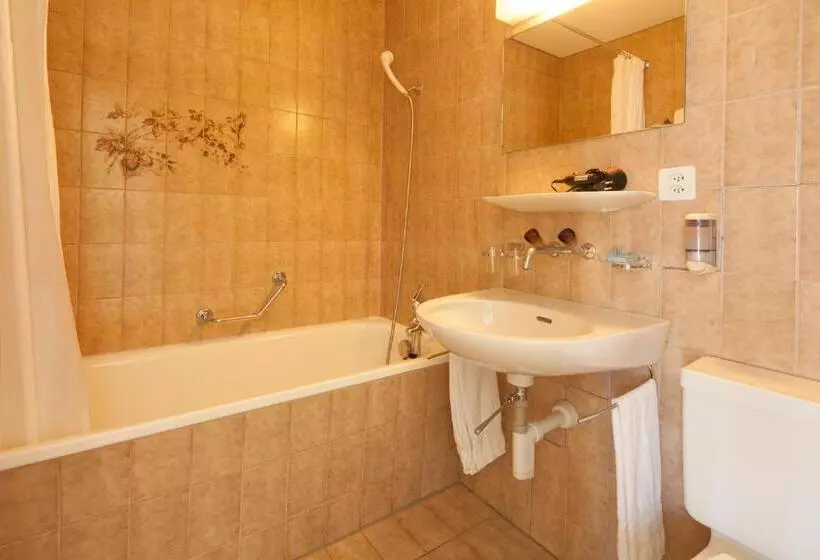 Standard Yhden Hengen Huone, Centralcontinental
