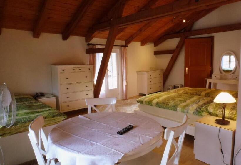 Номер Стандарт Трехместный, Centralcontinental