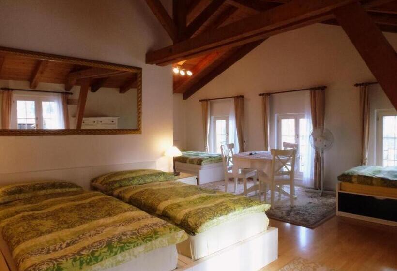 Четырехместный Номер Стандарт, Centralcontinental