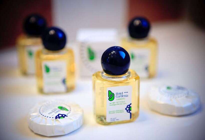 スタンダード4人部屋, Gardenia Sorrento