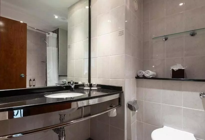 スタンダードルーム, Crowne Plaza Birmingham Nec, An Ihg