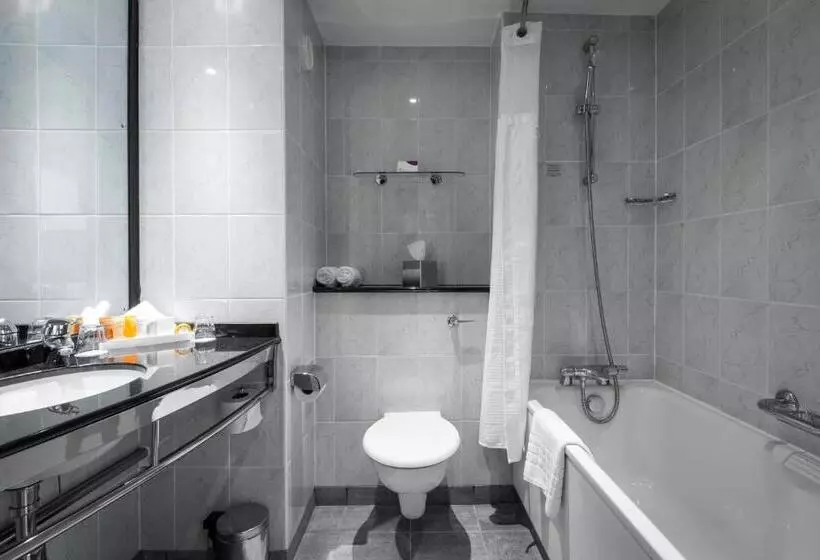 レイクビュースタンダードルーム, Crowne Plaza Birmingham Nec, An Ihg