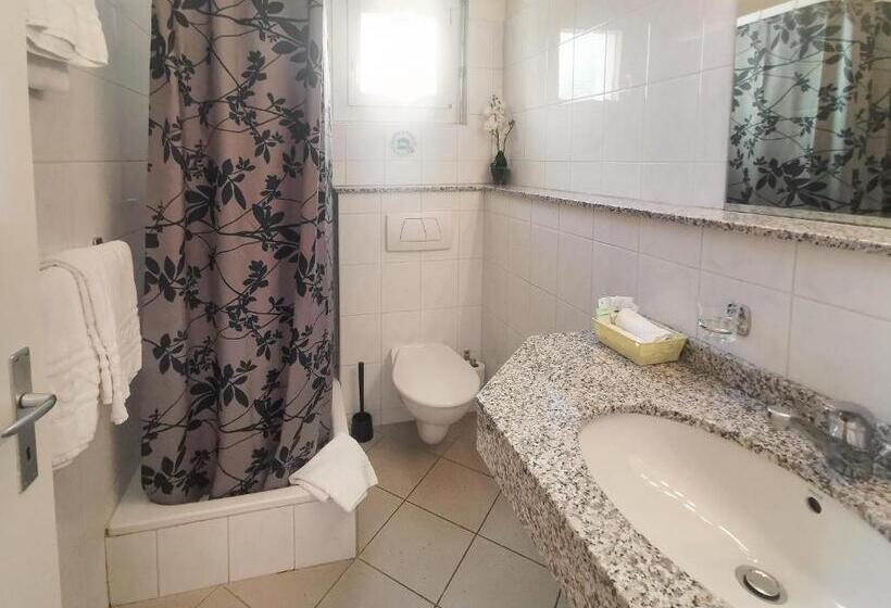 חדר סטנדרט לשלושה, Des Alpes Bulle Center