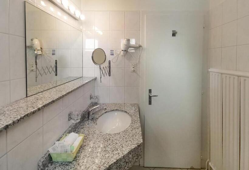 חדר סטנדרט לשלושה, Des Alpes Bulle Center