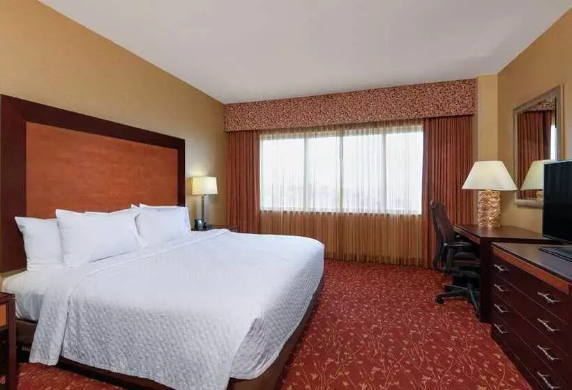 سوئیت با تخت بزرگ, Embassy Suites  Boston Logan Airport
