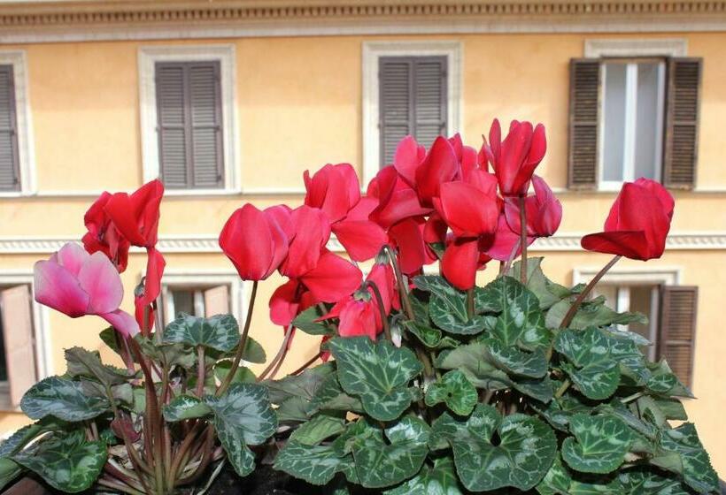 חדר סטנדרט יחיד, Garda