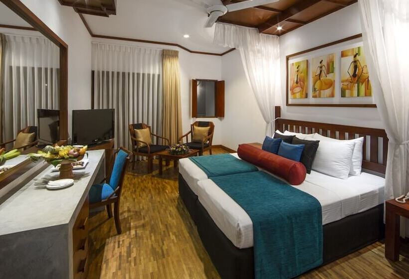 豪华房间, Tangerine Beach