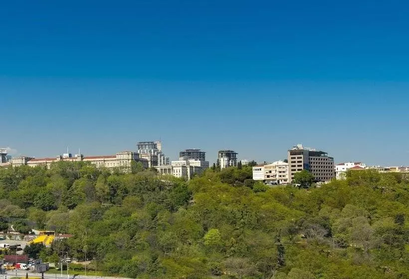 クラブルーム, The Ritz Carlton, Istanbul At The Bosphorus