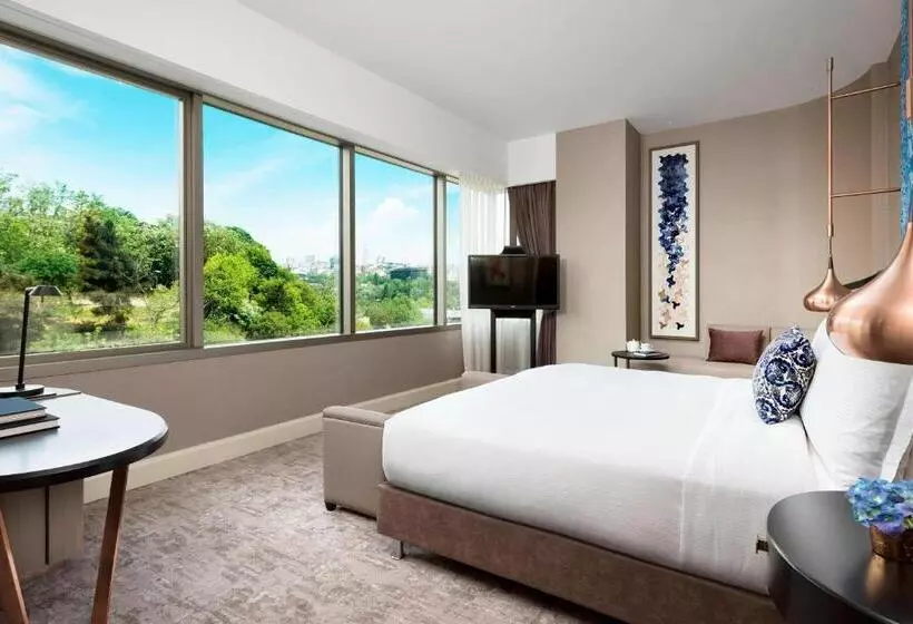 公園の見えるダブルベッドスタンダードルーム, The Ritz Carlton, Istanbul At The Bosphorus