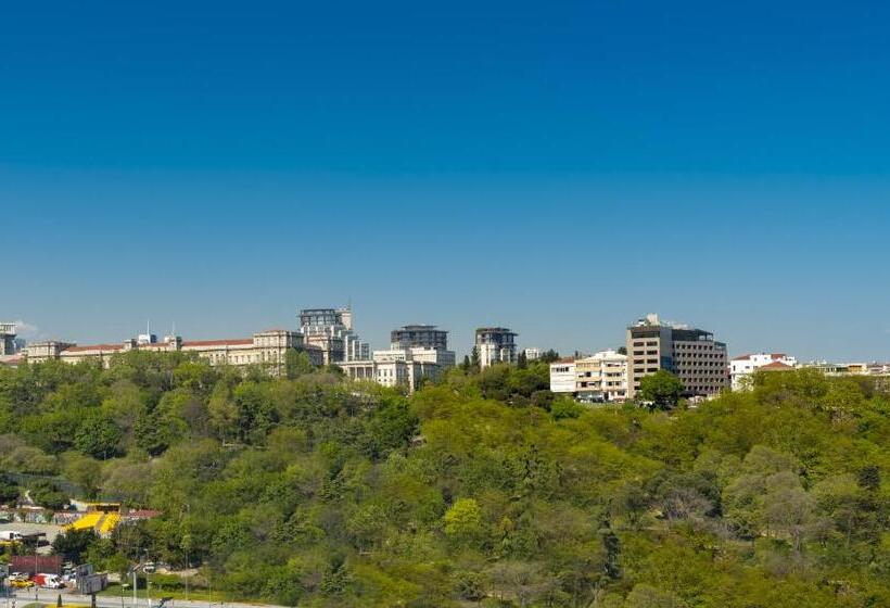 اتاق استاندارد با تخت دوبل و چشم‌انداز پارک, The Ritz Carlton, Istanbul At The Bosphorus