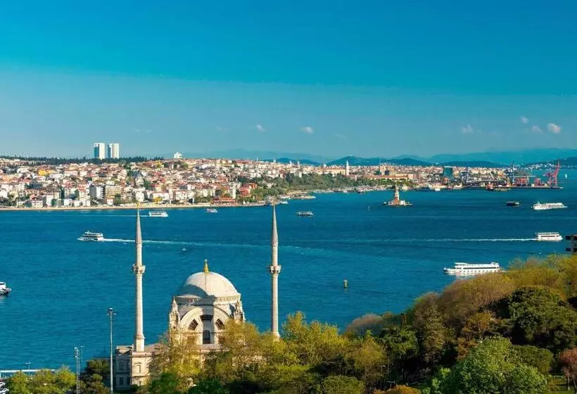 シングルデラックスルーム, The Ritz Carlton, Istanbul At The Bosphorus