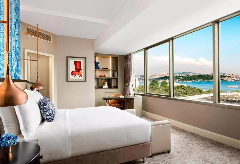 シングルデラックスルーム, The Ritz Carlton, Istanbul At The Bosphorus