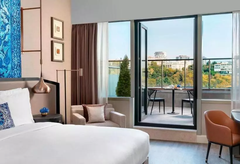 公園の見えるスタンダードルーム, The Ritz Carlton, Istanbul At The Bosphorus