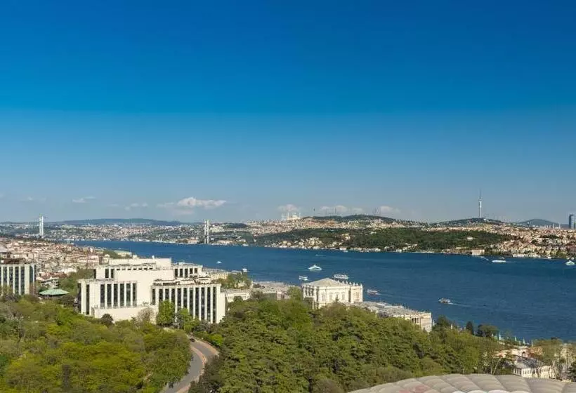 シングルデラックスルーム, The Ritz Carlton, Istanbul At The Bosphorus