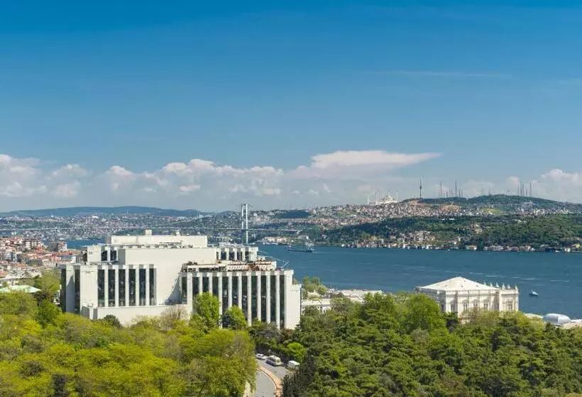 シングルデラックスルーム, The Ritz Carlton, Istanbul At The Bosphorus