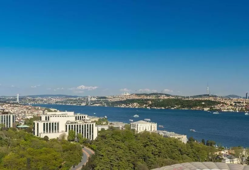 クラブスイート ビュー付き, The Ritz Carlton, Istanbul At The Bosphorus