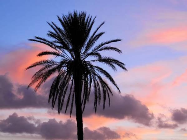 带大床的标准间, B&b Solesun