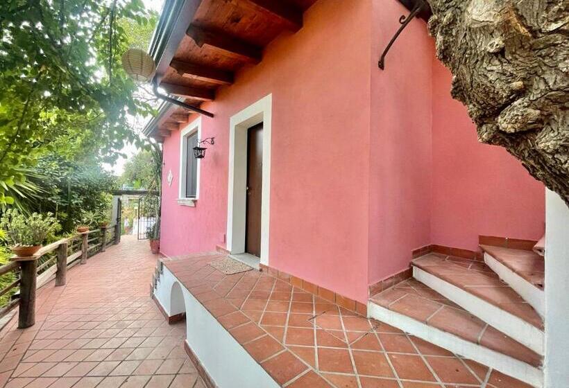 استودیوی سوپریور, B&b Villa Vittoria