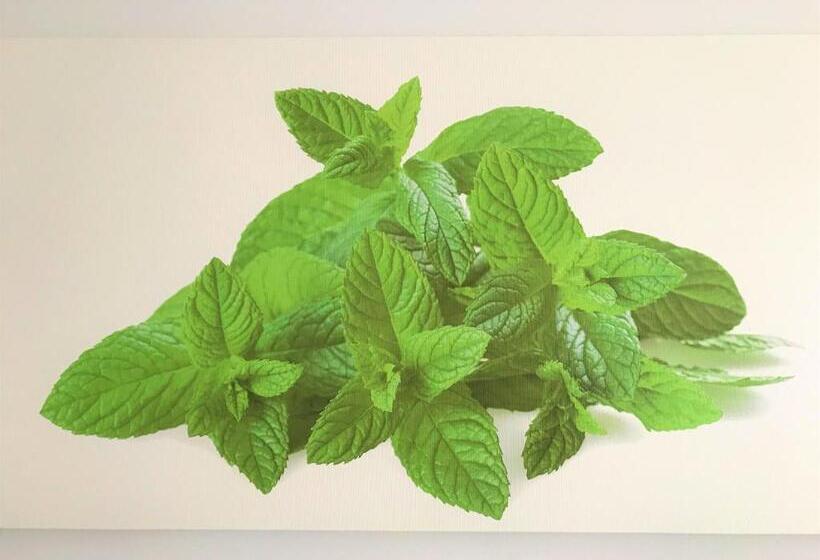 סוויטה דלוקס, Innsud