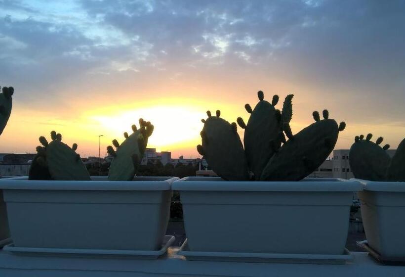 סוויטה עם טרסה, Innsud