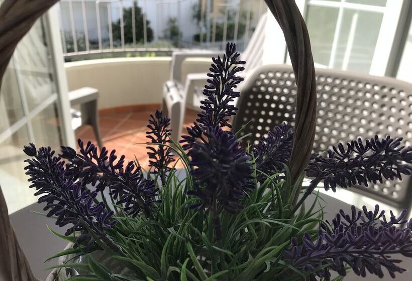 חדר דלוקס עם מרפסת, Innsud