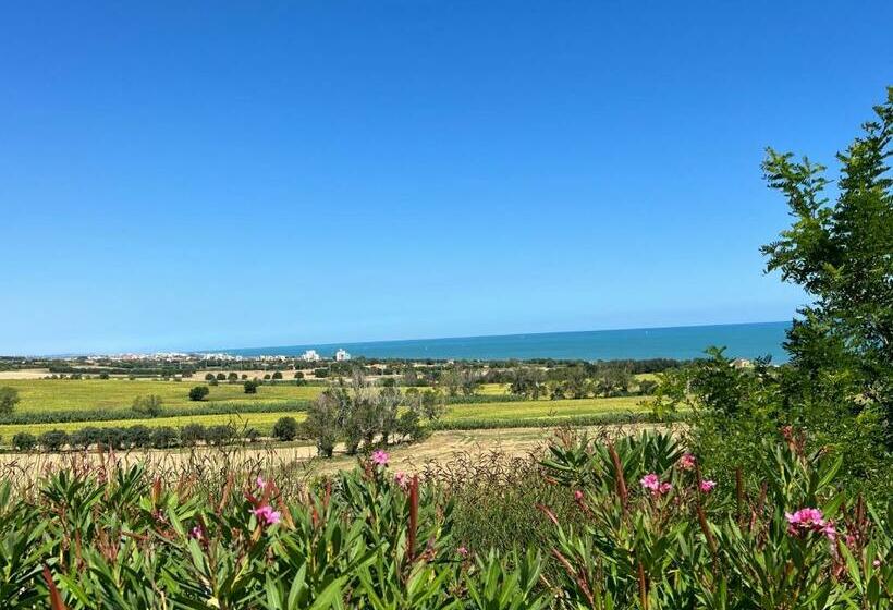 اتاق استاندارد چهار تخته, Mansarda Seaview