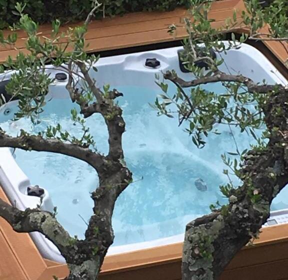 آپارتمان 1 خوابه با چشم‌انداز باغ, Velamica Resort