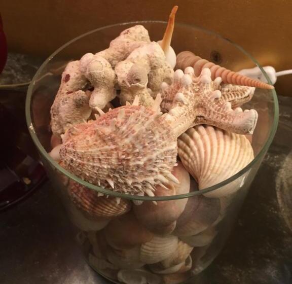 آپارتمان 1 خوابه با چشمانداز باغ, Velamica Resort