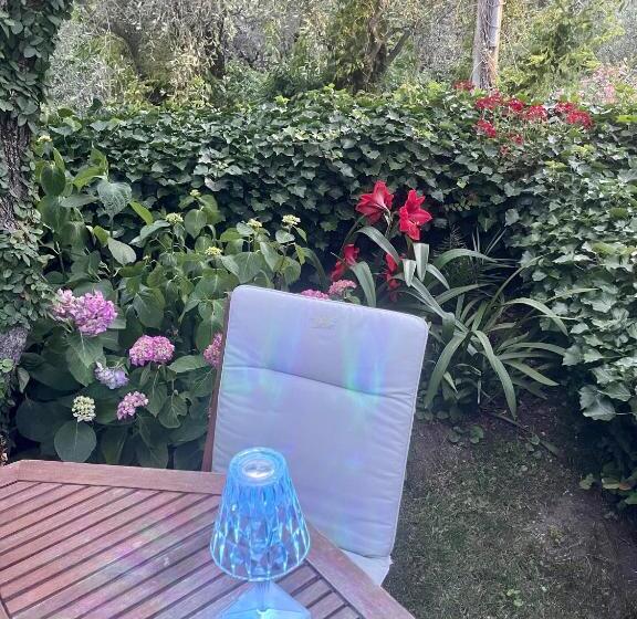 آپارتمان 1 خوابه با چشمانداز باغ, Velamica Resort