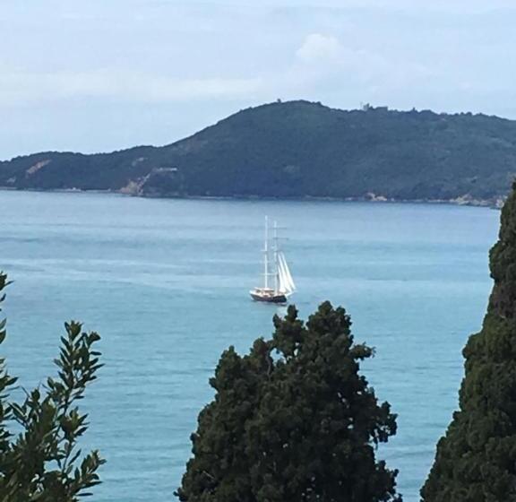 آپارتمان 1 خوابه با چشمانداز باغ, Velamica Resort