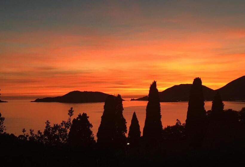 اتاق پنت هاوس, Velamica Resort