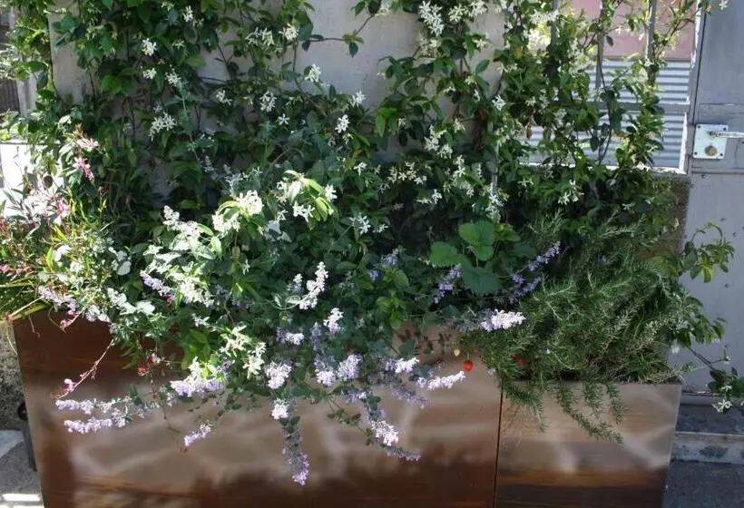１ベッドルームアパートメント, White Lilac Romantic B&b  Adults Only