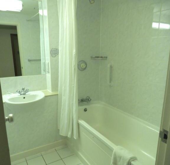 Номер Стандарт, Airport Inn Gatwick