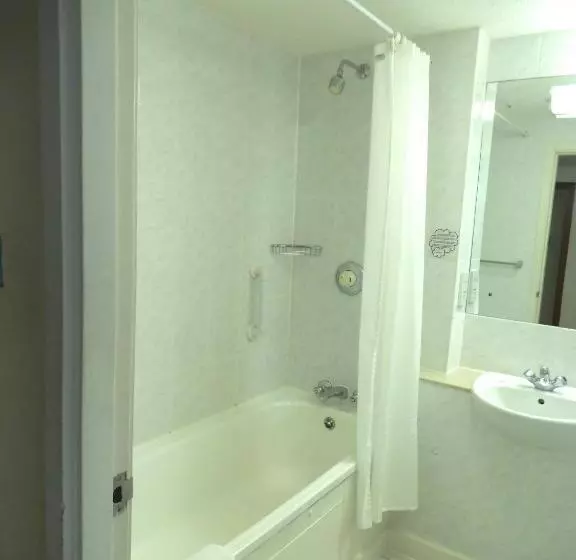اتاق استاندارد سه نفره, Airport Inn Gatwick