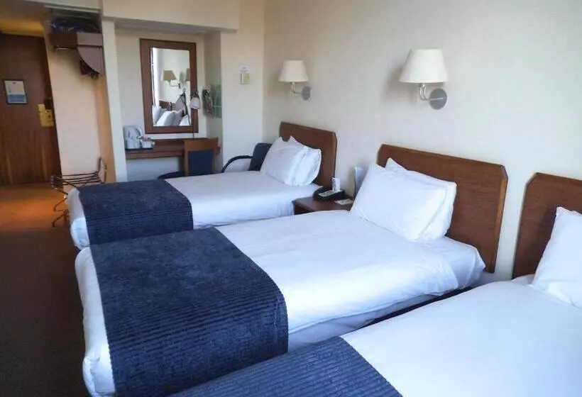 اتاق استاندارد سه نفره, Airport Inn Gatwick