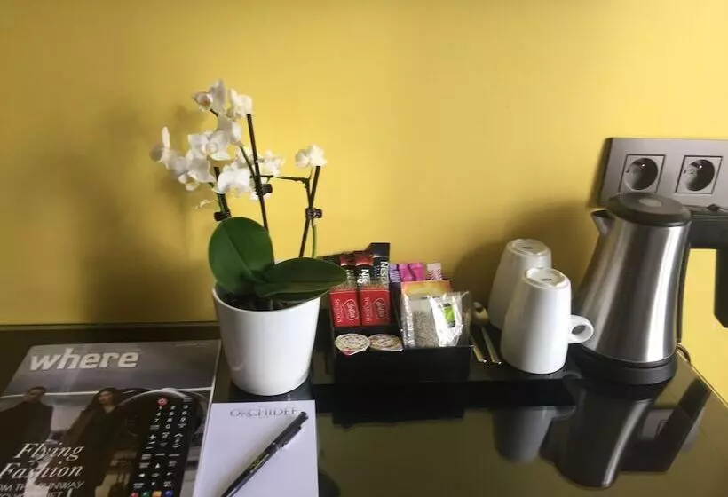 اتاق استاندارد با چشم‌انداز باغ, Hôtel Orchidée