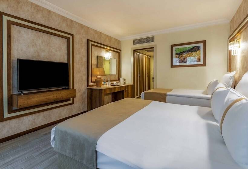 اتاق استاندارد, Polat Thermal