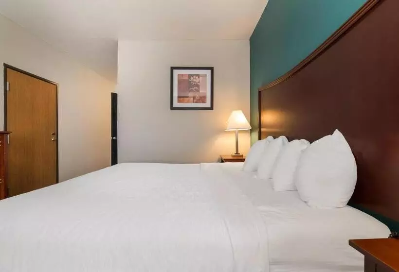 エコノミールーム, Surestay Plus Hotel By Best Western Topeka