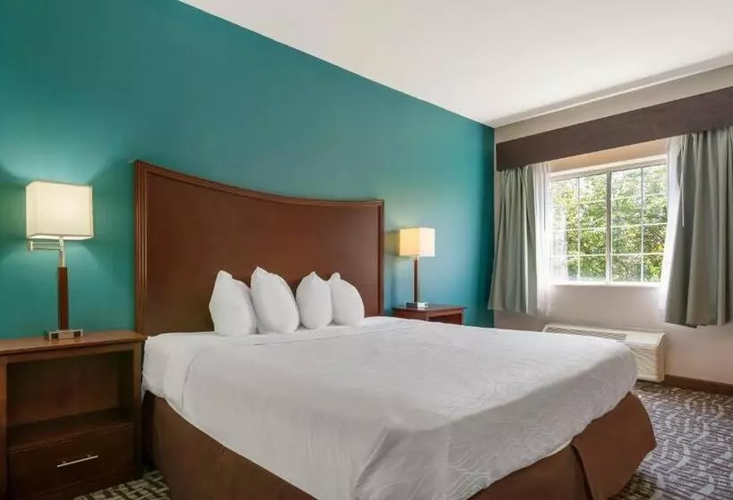 キングサイズベッドのスタンダードルーム, Surestay Plus Hotel By Best Western Topeka