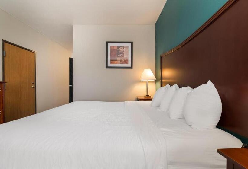 스탠다드 룸 킹사이즈 침대, Surestay Plus Hotel By Best Western Topeka