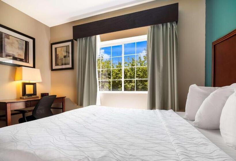 Люкс, Surestay Plus Hotel By Best Western Topeka