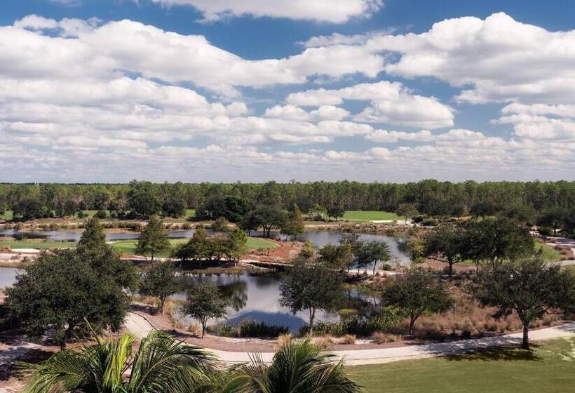带大床的标准间, The Ritzcarlton Naples, Tiburón