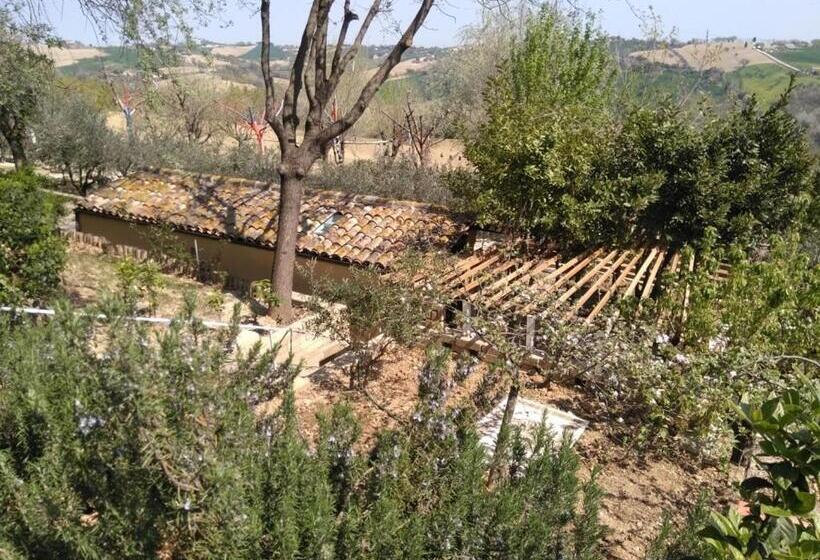 סטודיו סטנדרטי נוף לים, Casale Civetta