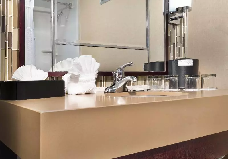 اتاق استاندارد برای معلولان, Crowne Plaza Resort Asheville, An Ihg