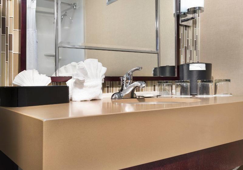 غرفة قياسية سرير كينج, Crowne Plaza Resort Asheville, An Ihg