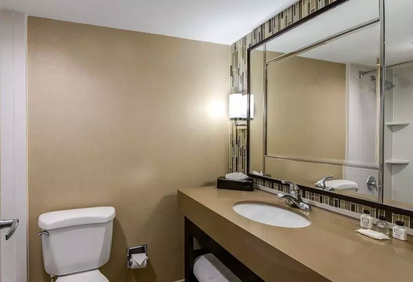 اتاق استاندارد, Crowne Plaza Resort Asheville, An Ihg