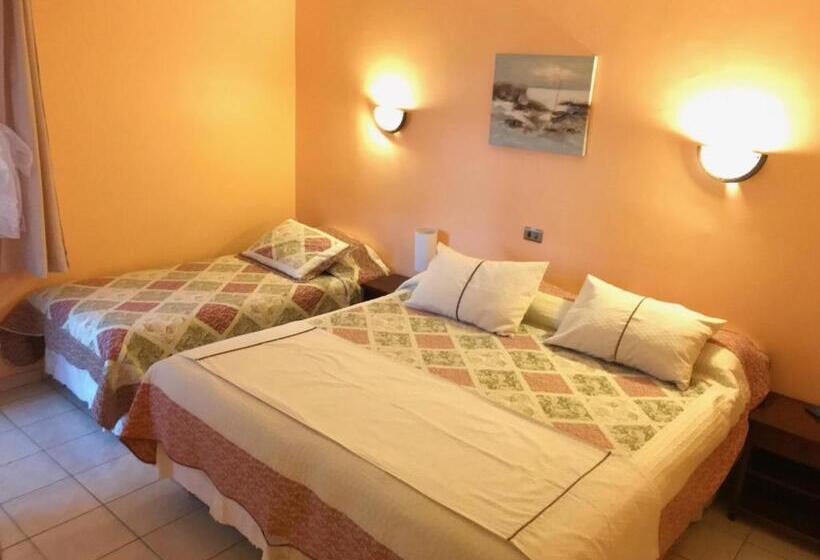 Семейный Номер, Costafósil