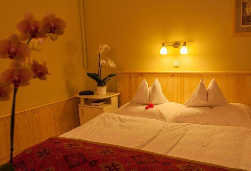 ガーデンビュースーペリアールーム, Fábián Panzió